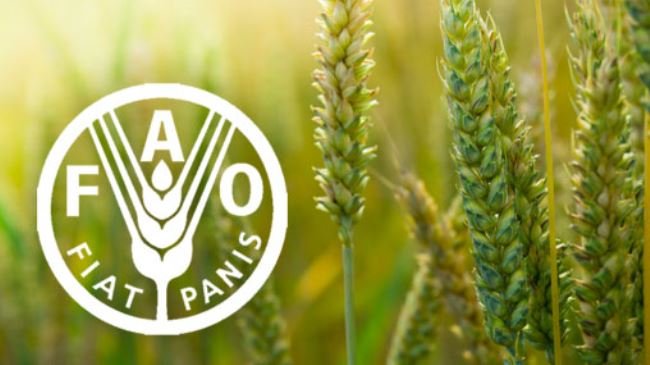 FAO Signs Agreement with Service Providers to Protect…